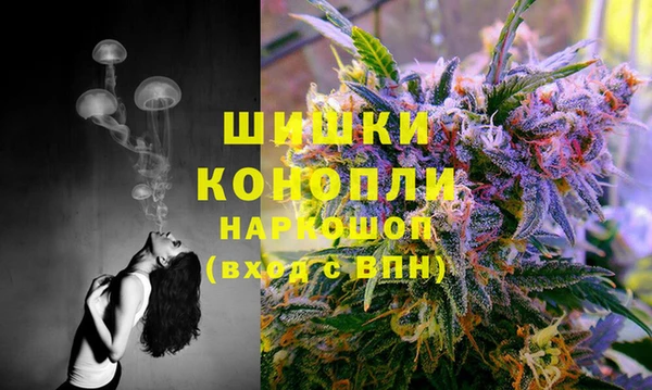 стафф Магас