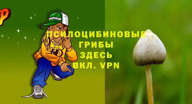 Псилоцибиновые грибы GOLDEN TEACHER  blacksprut tor  Ермолино 